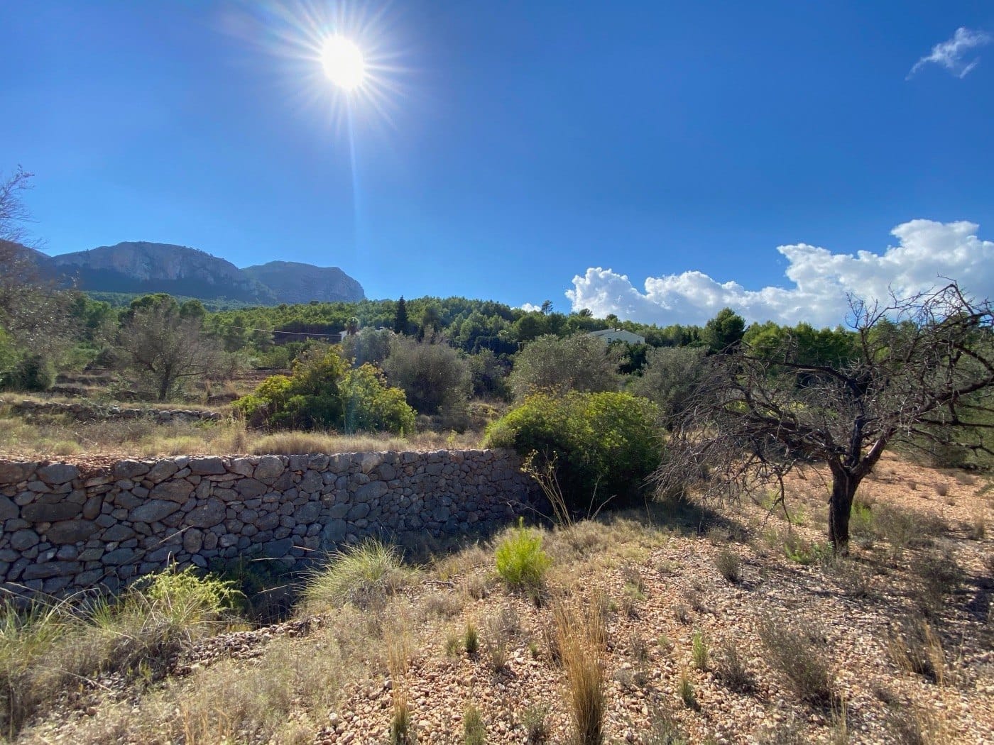 P104 - Rustikales Land gut gelegen, ziemlich flach, in ländlicher Gegend in der Nähe von Calpe.