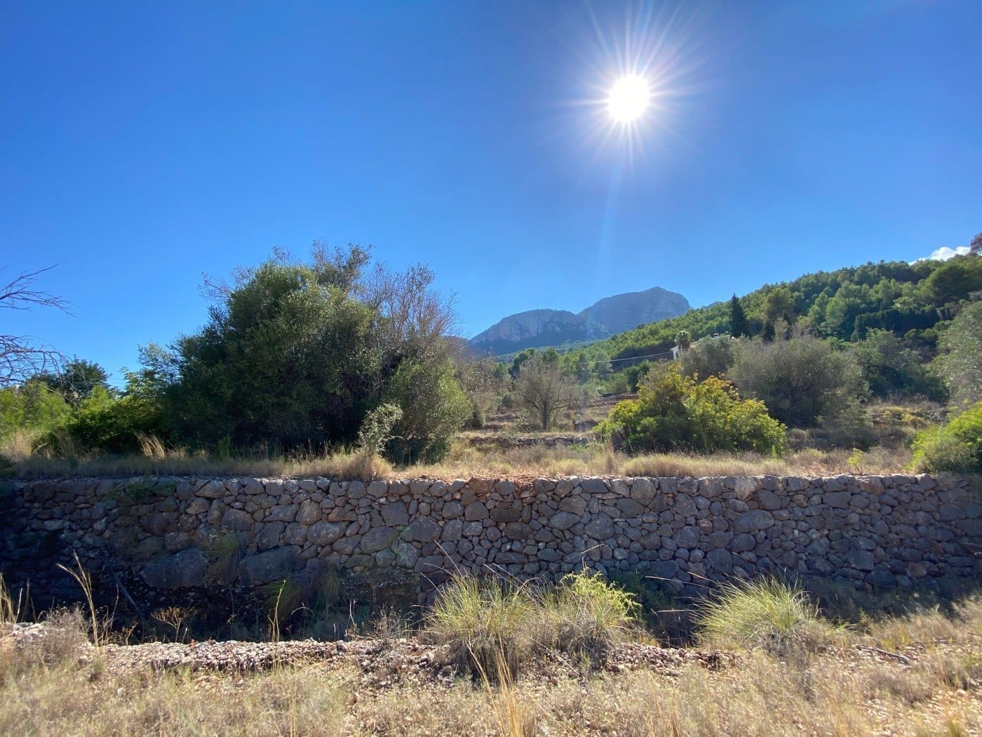 P104 - Rustikales Land gut gelegen, ziemlich flach, in ländlicher Gegend in der Nähe von Calpe.