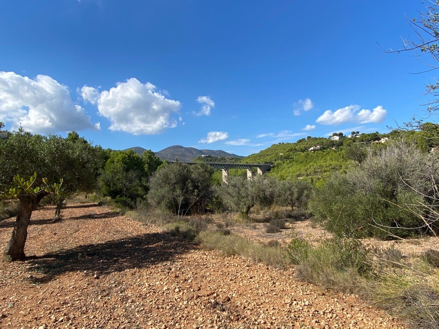 P104 - Rustikales Land gut gelegen, ziemlich flach, in ländlicher Gegend in der Nähe von Calpe.