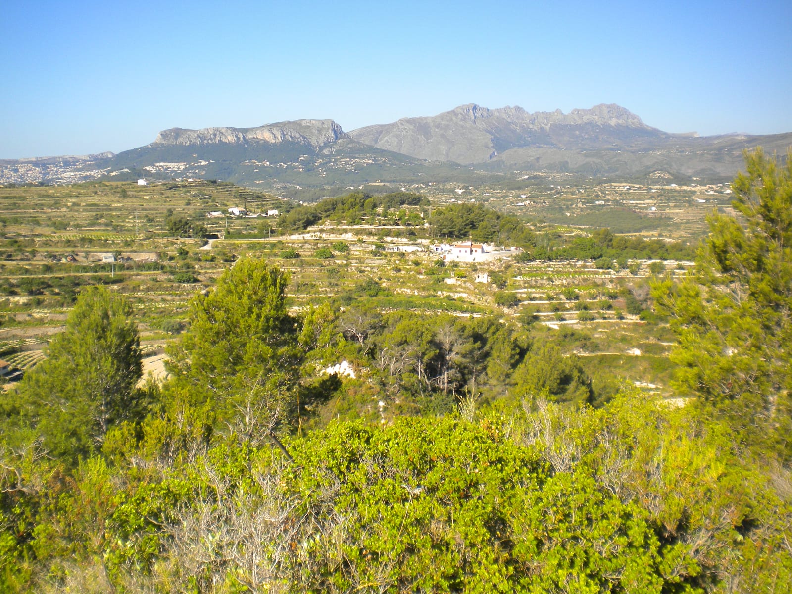 P114 - Large plot in Benissa