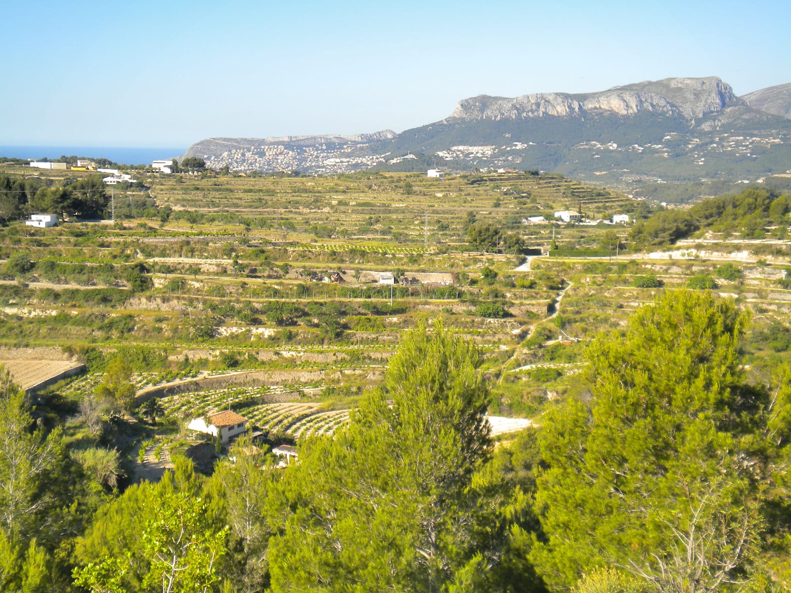 P114 - Large plot in Benissa