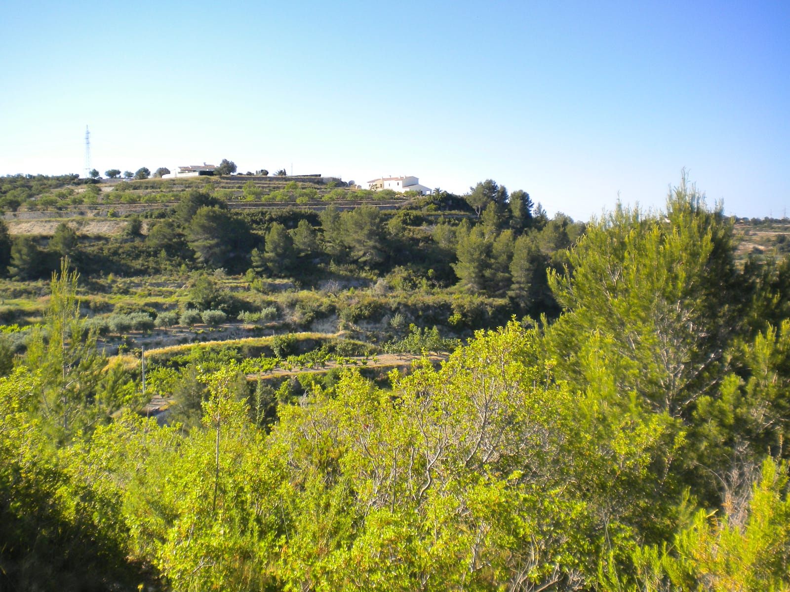 P114 - Large plot in Benissa