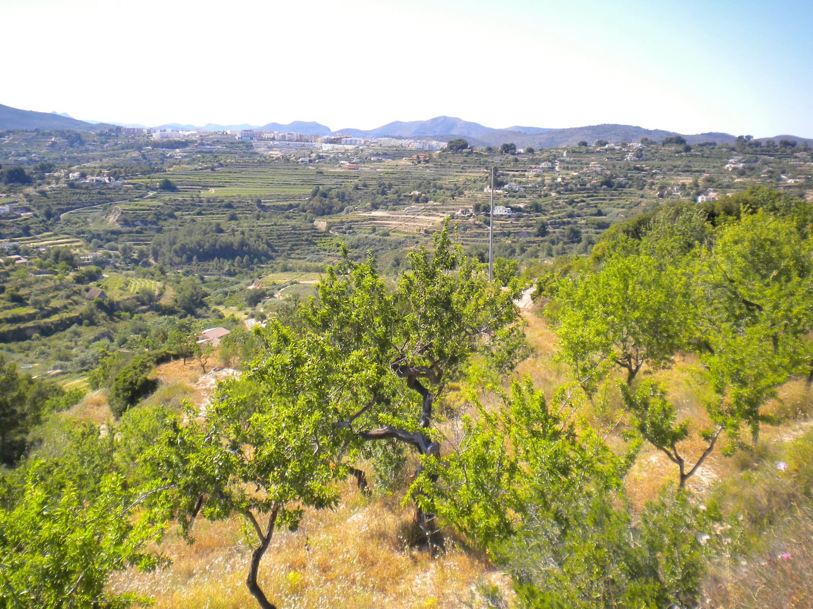 P114 - Large plot in Benissa