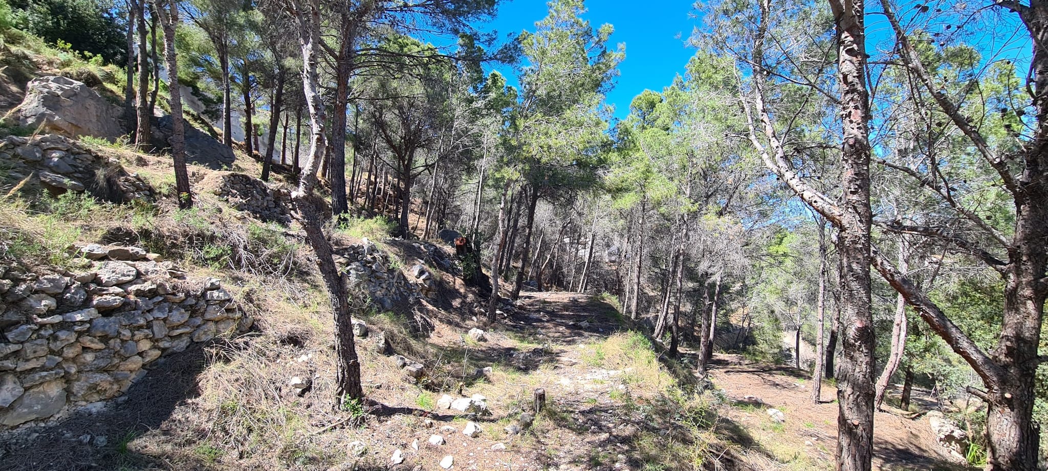 PL1CRNRN0 - Plot en venta en Calpe