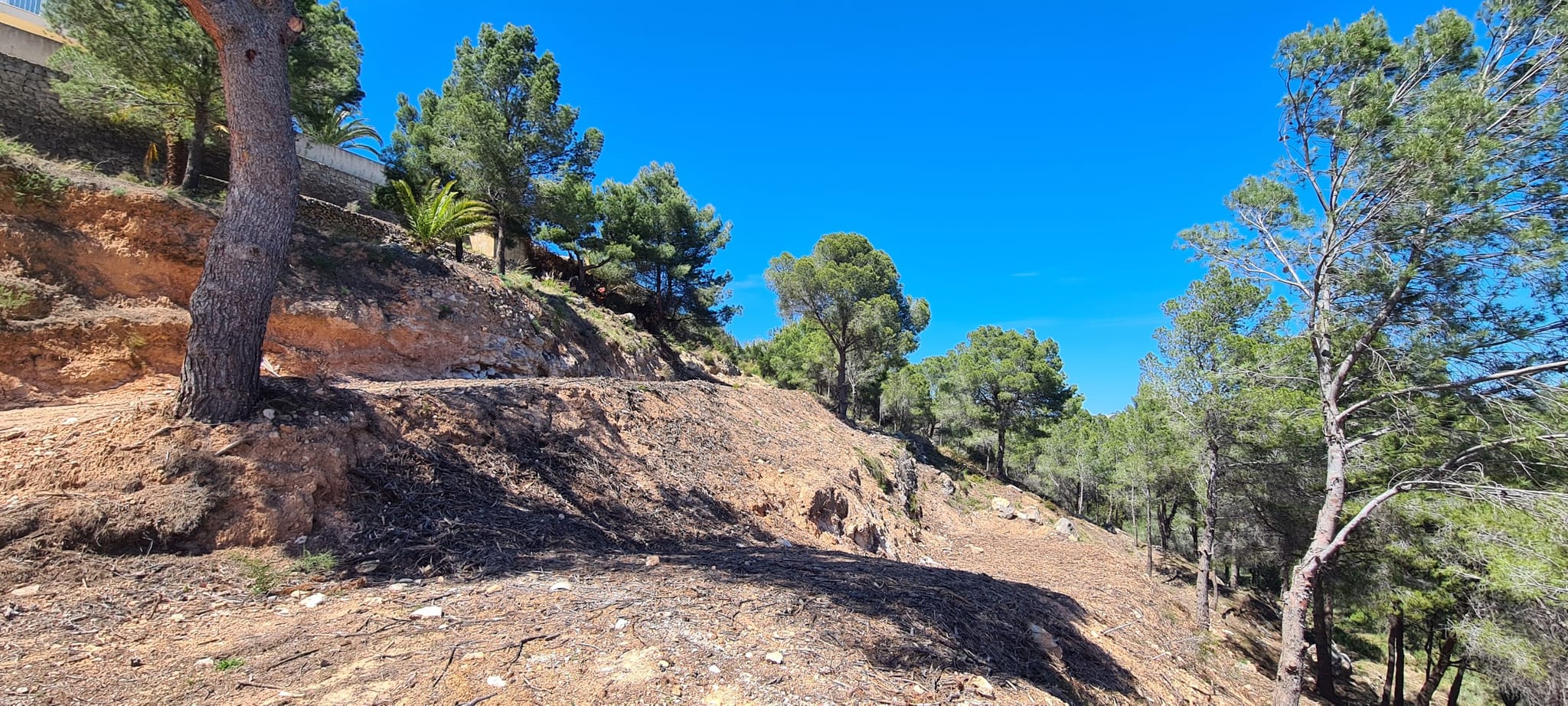 PL1CRNRN0 - Plot en venta en Calpe