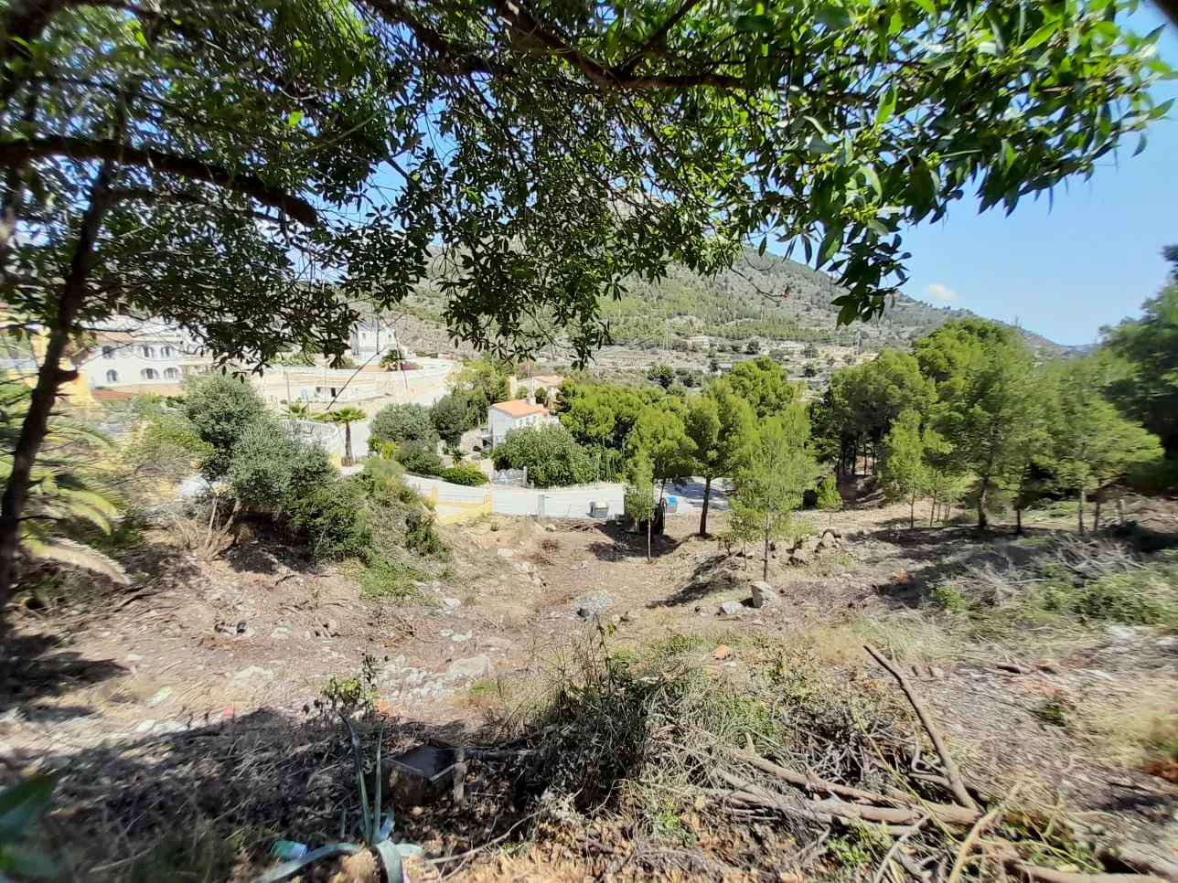 IN1OMWSIF - LINGS MARYVILLA