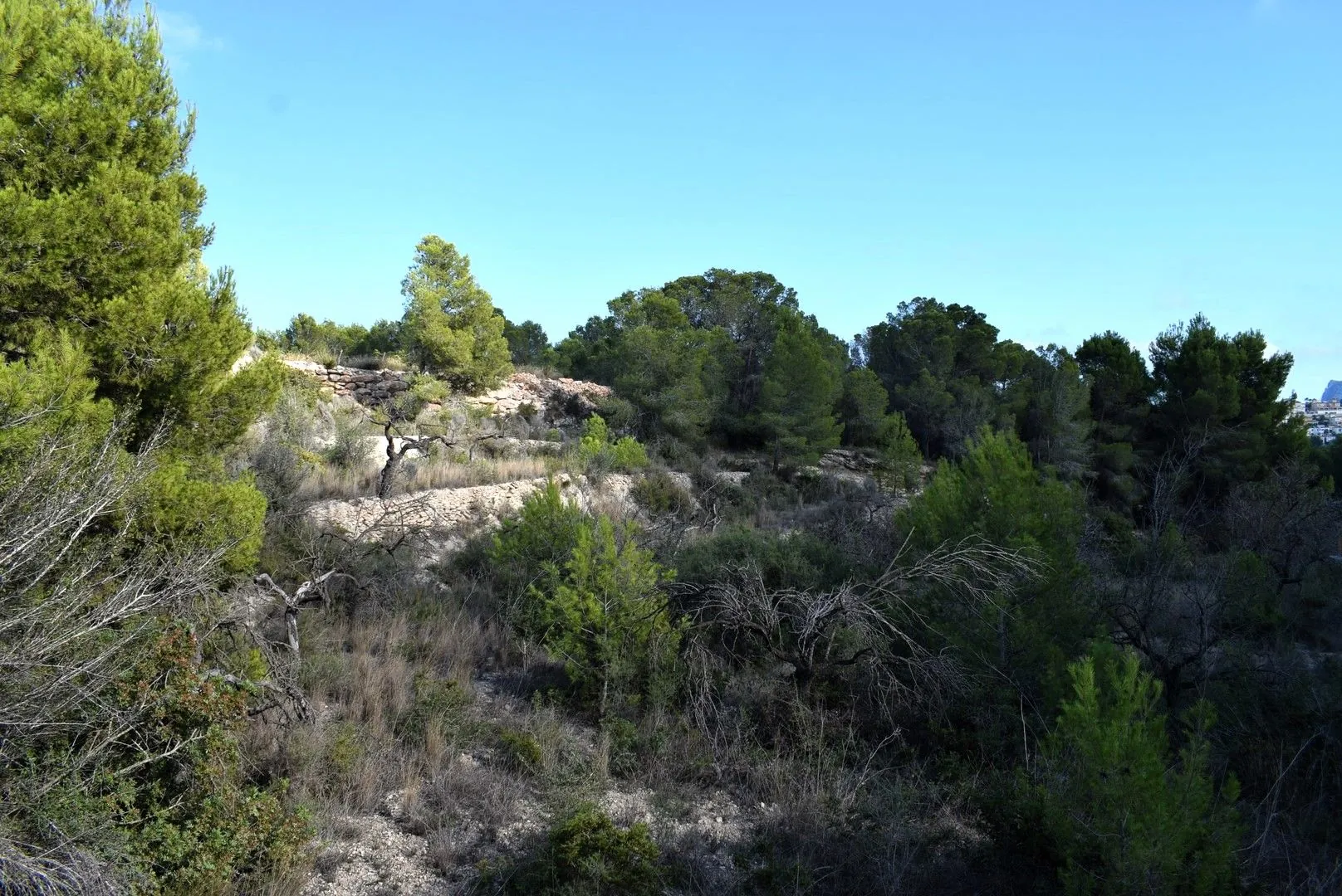 Plot na sprzedaż w Calpe, Alicante
