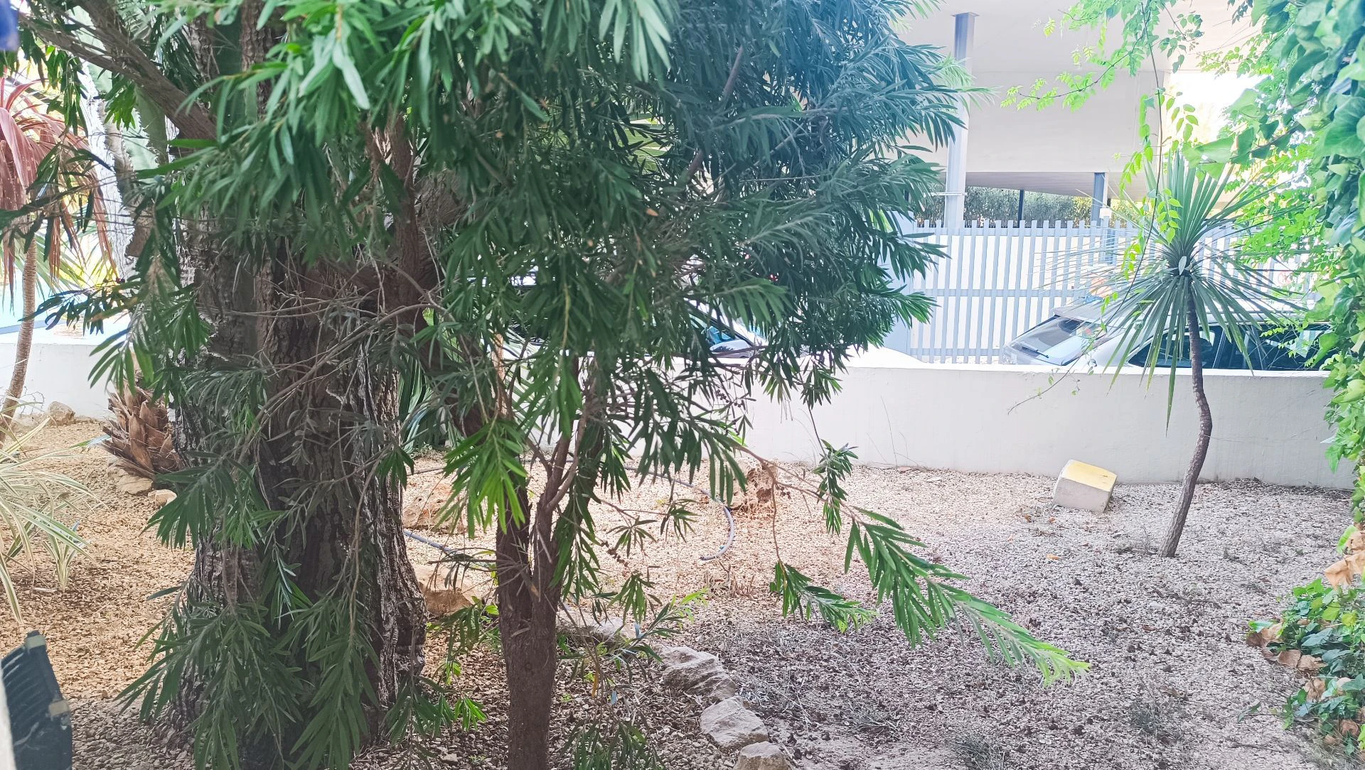 OG16UT3G9 - Local comercial en venta en Calpe / Calp