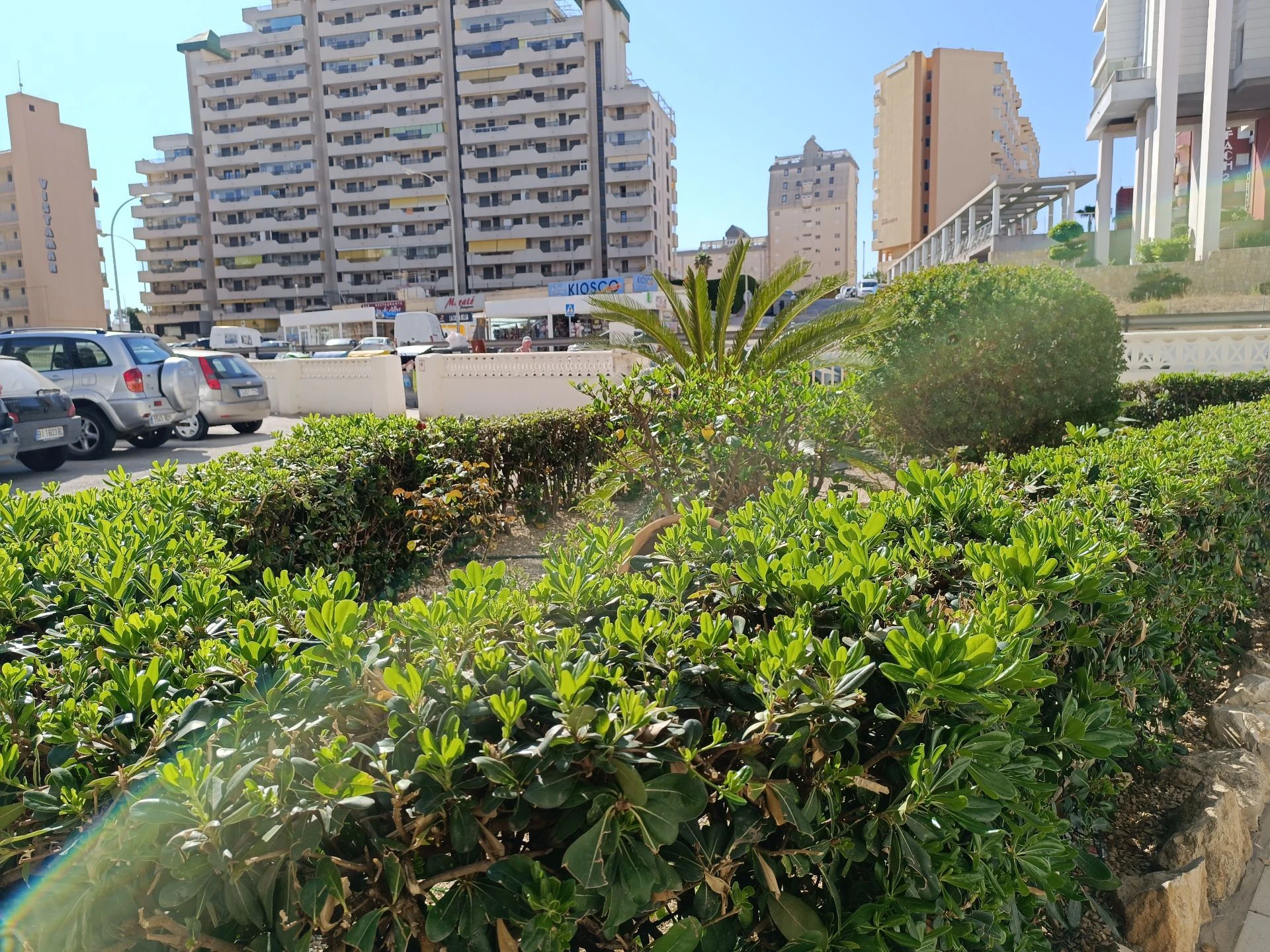 OG1OA7BFD - Local comercial en venta en Calpe / Calp