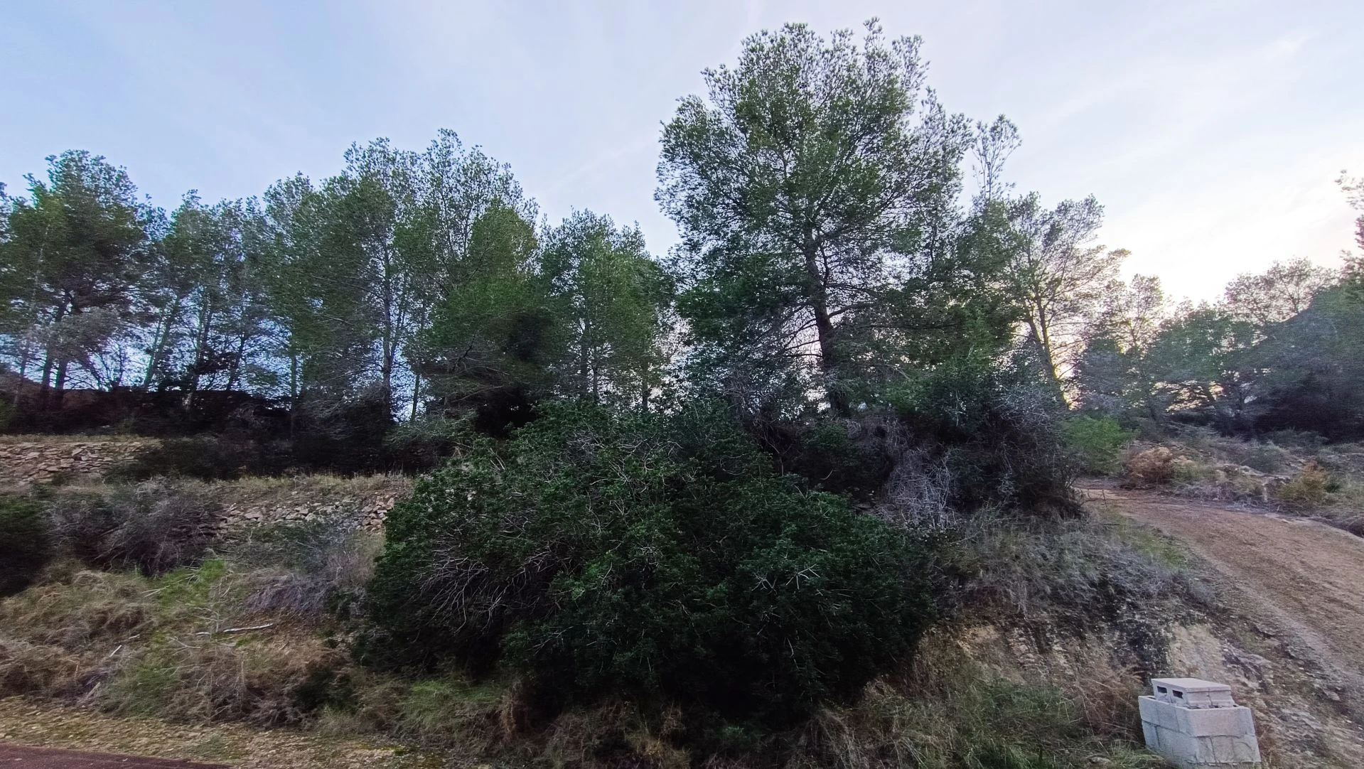 Parcela en venta en Benissa