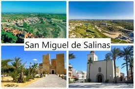 Bungalow en venta en San Miguel De Salinas