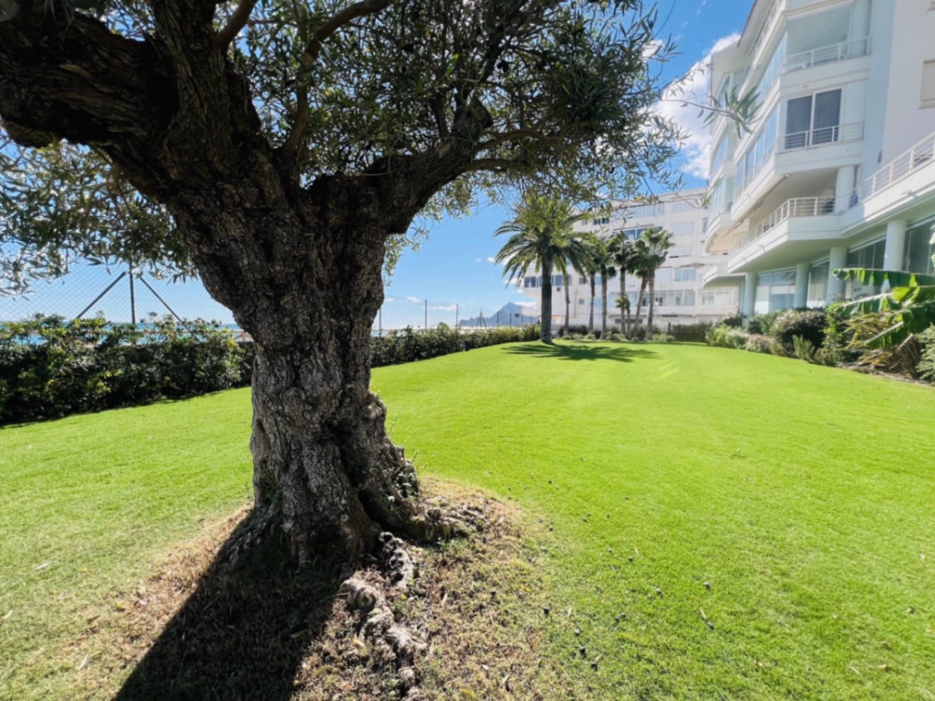 A great little apartment on the beachfront