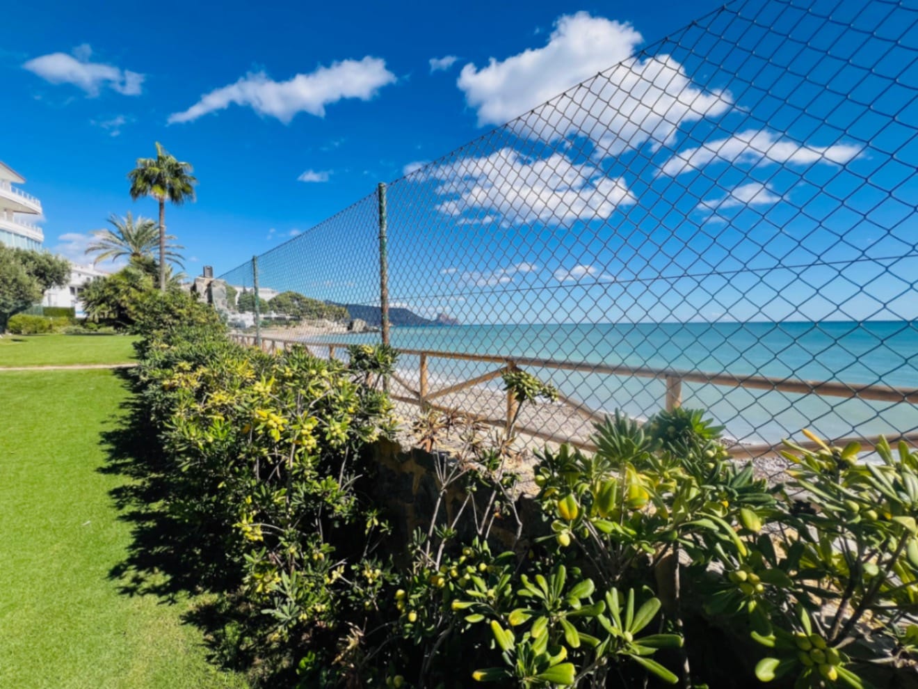 A great little apartment on the beachfront