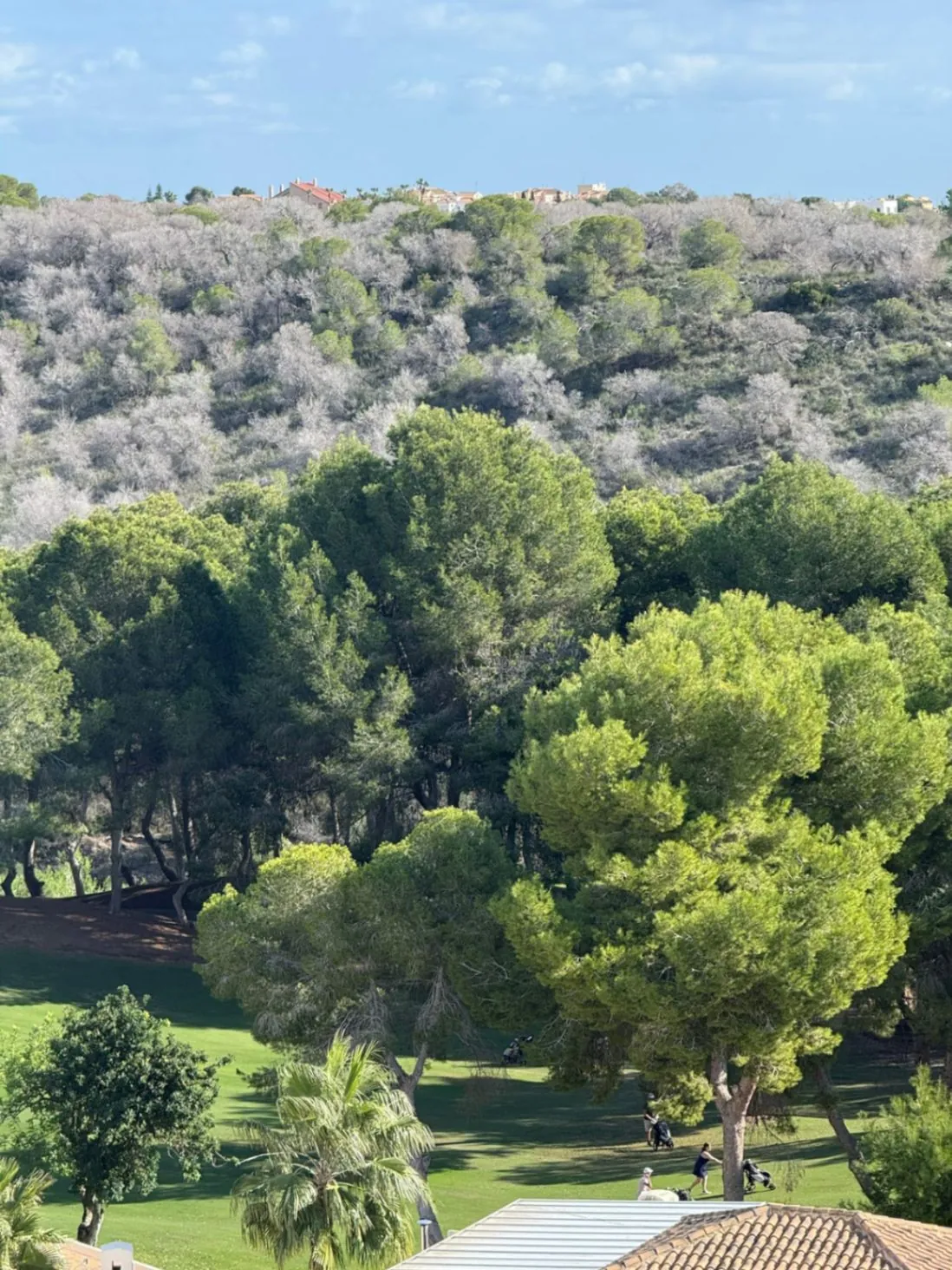 Magnifico Àtico de tres dormitorios en venta en Las Ramblas, Orihuela Costa