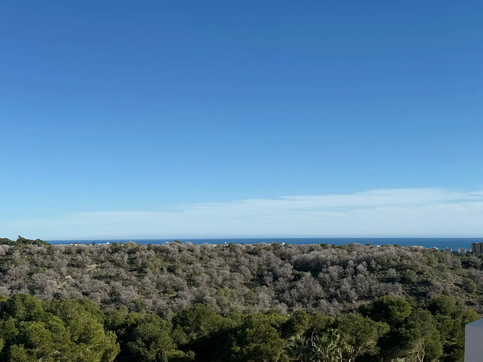 Magnifico Àtico de tres dormitorios en venta en Las Ramblas, Orihuela Costa