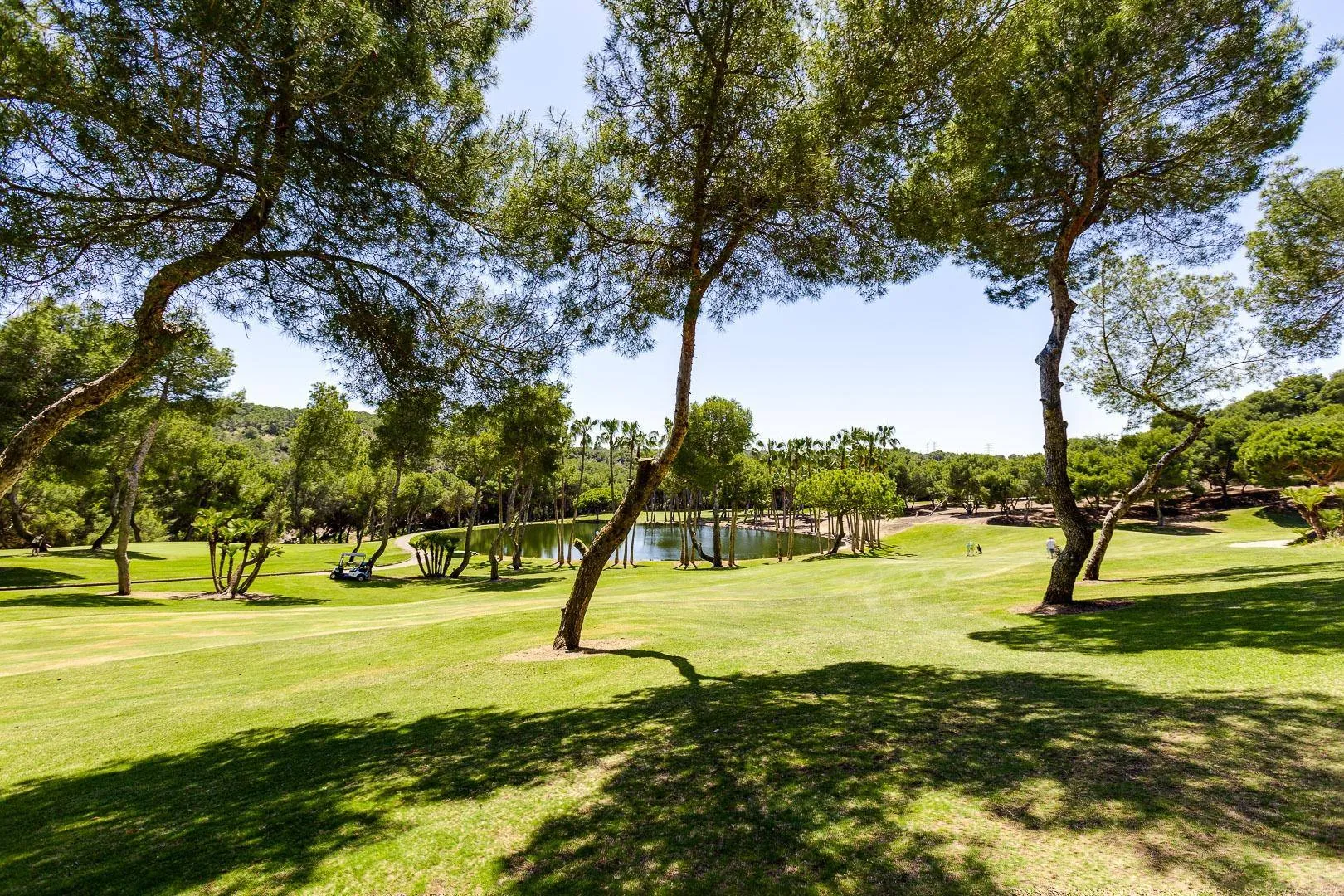 Increíble Chalet de cincos dormitorios en venta en San Miguel de Salinas, Alicante