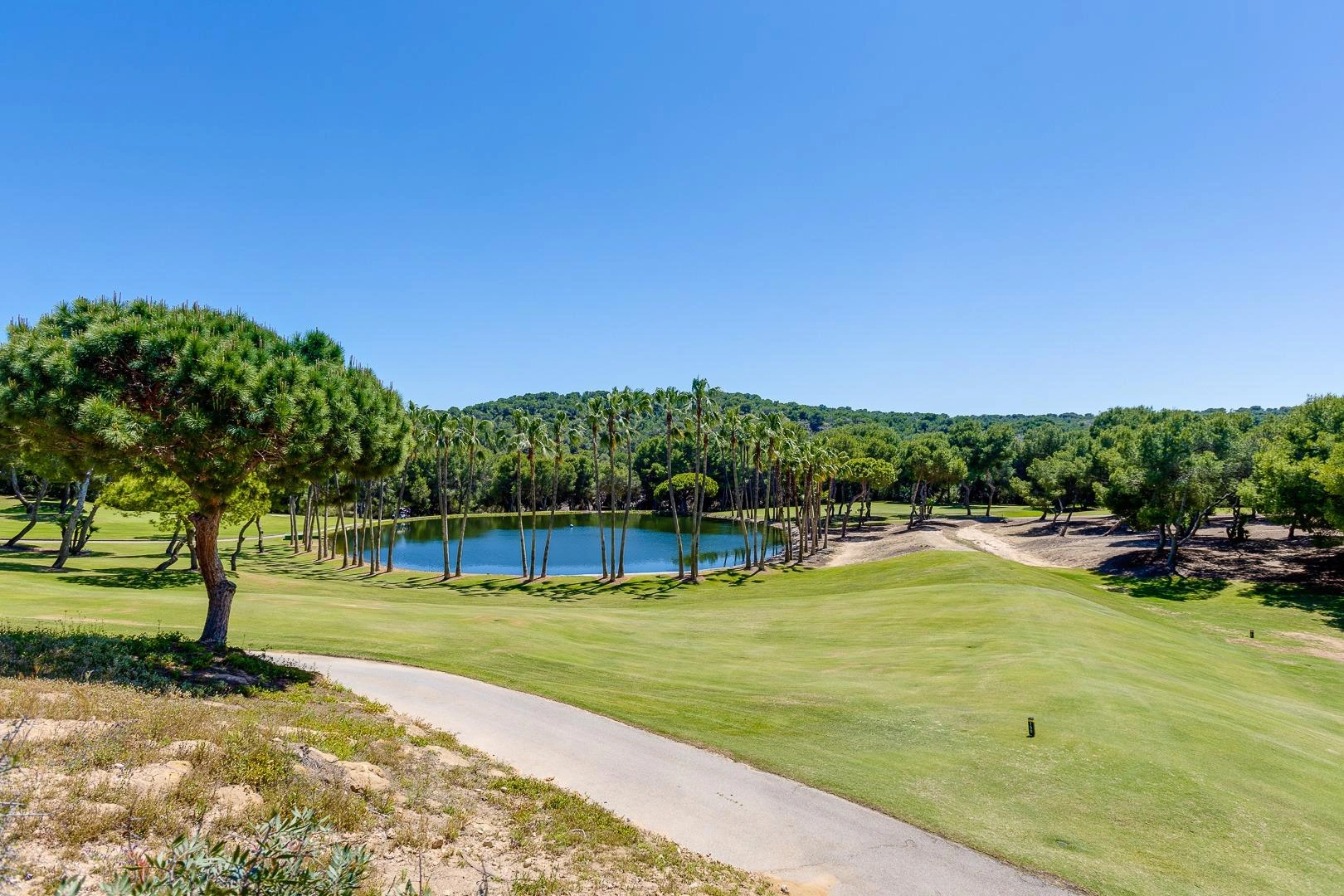 Increíble Chalet de cincos dormitorios en venta en San Miguel de Salinas, Alicante