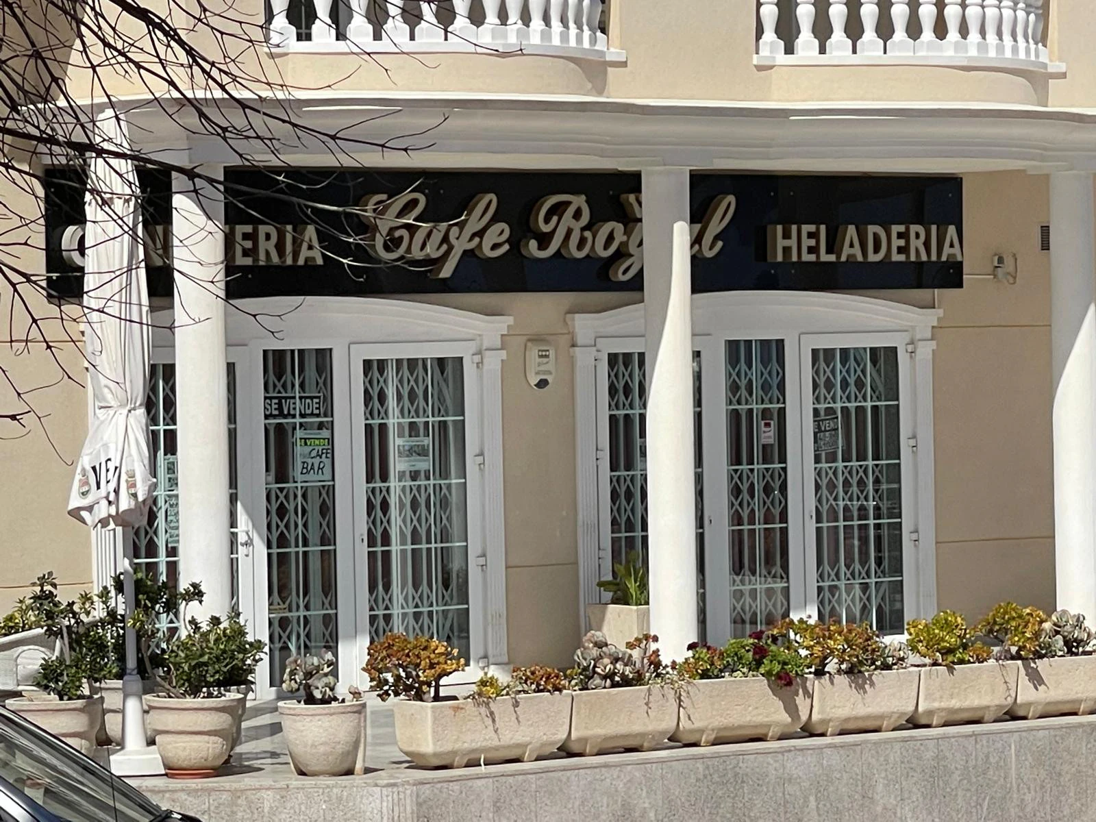 Despacho en venta en Guardamar Del Segura