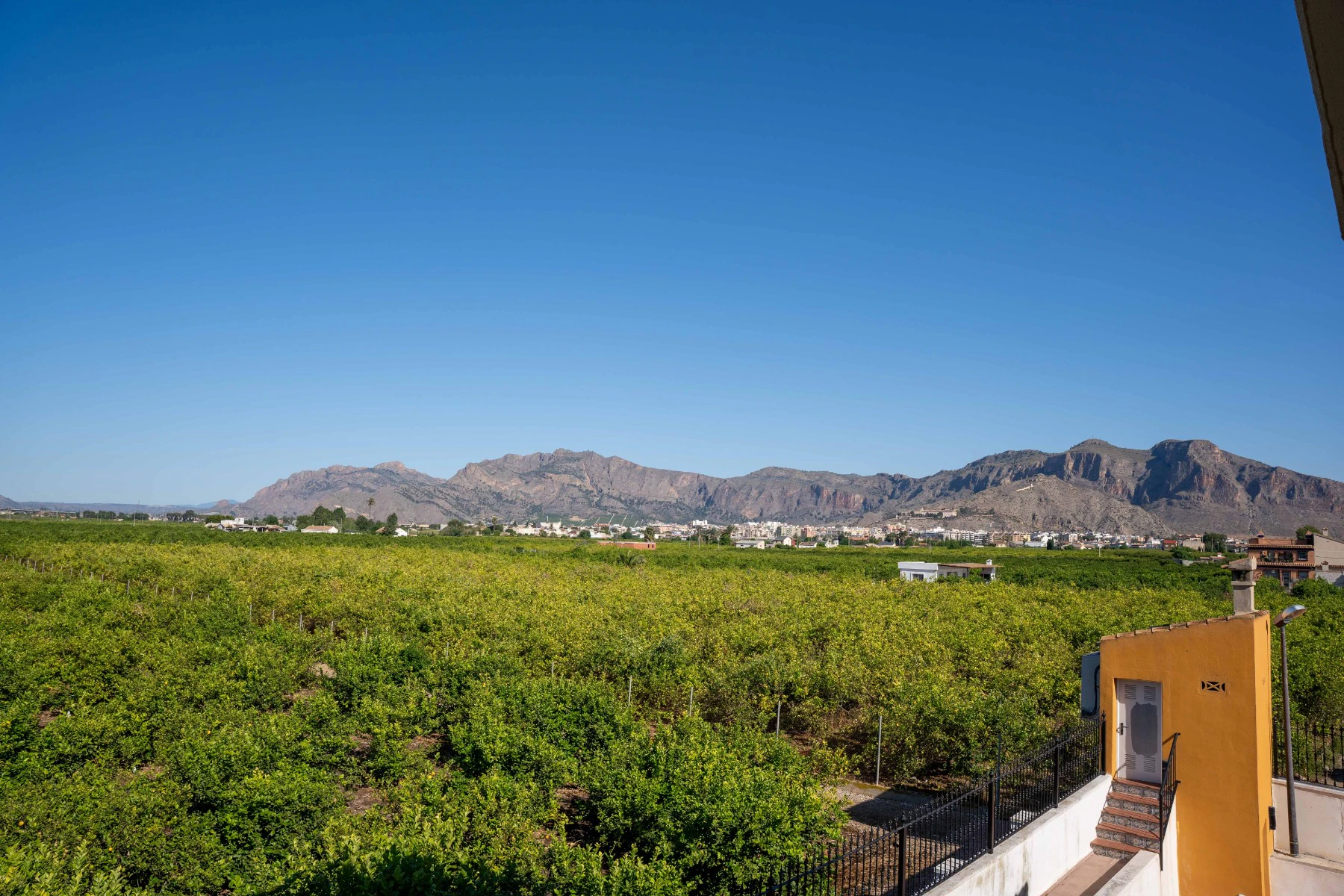 Finca en venta en Orihuela