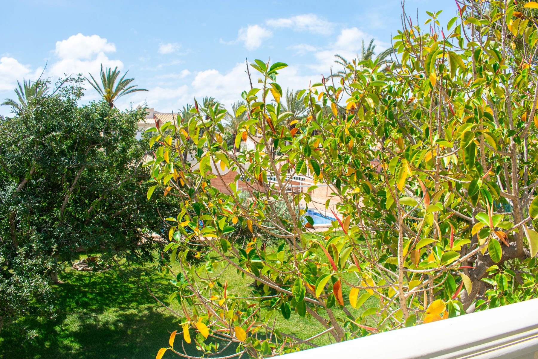 Chalet/Villa en venta en Orihuela Costa