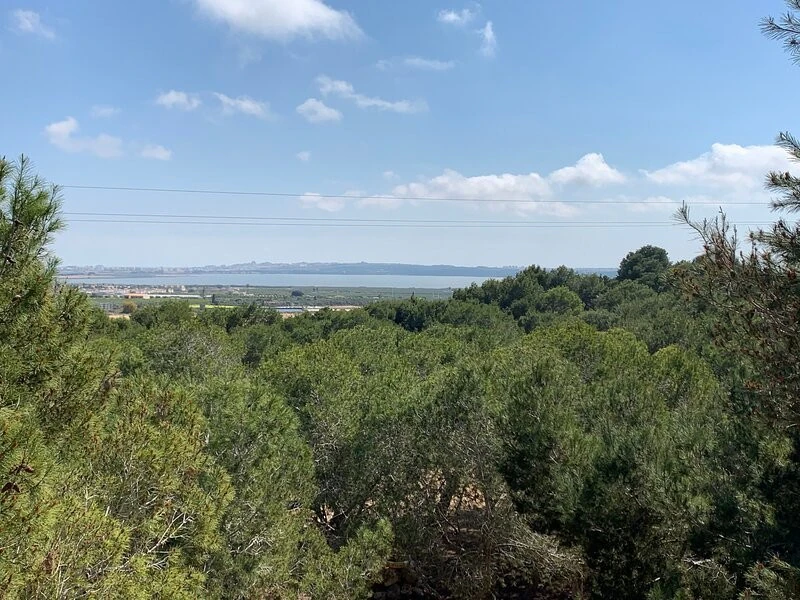 Chalet/Villa en venta en Rojales