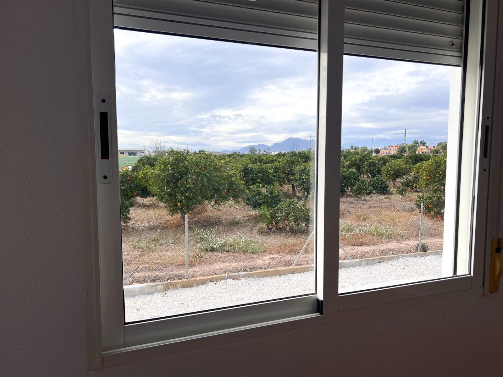 Chalet/Villa en venta en Dolores