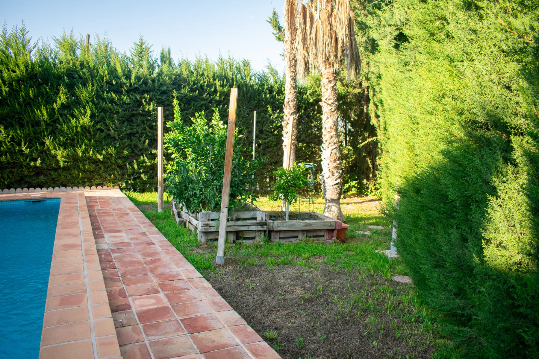 Chalet/Villa en venta en Molina De Segura
