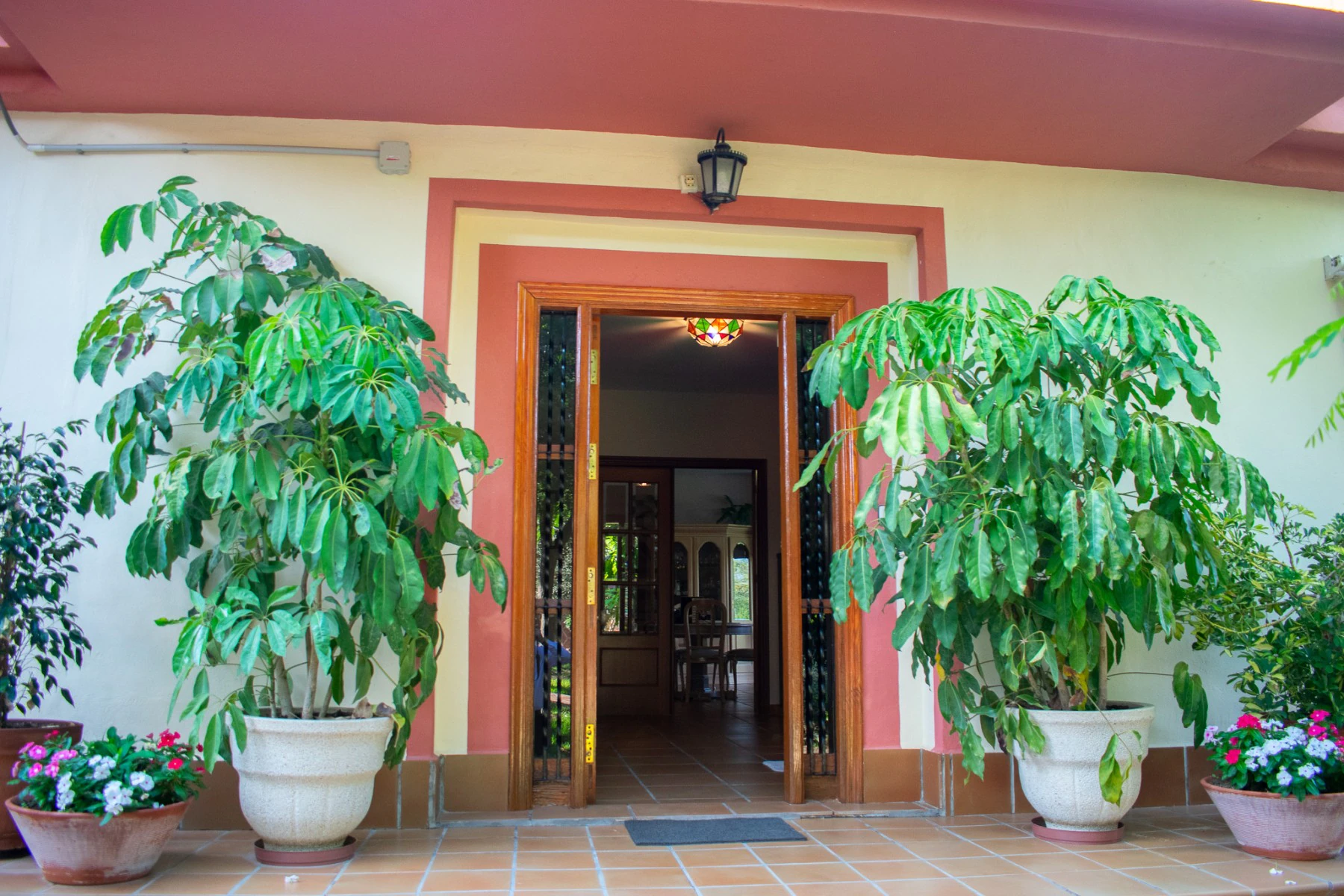 Chalet/Villa en venta en Molina De Segura