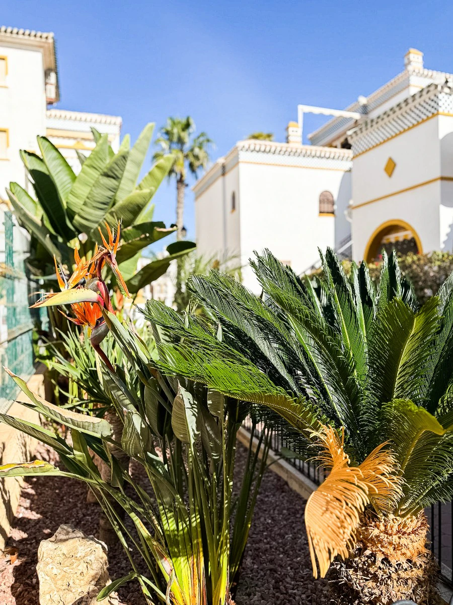 Casa de pueblo en venta en Torrevieja
