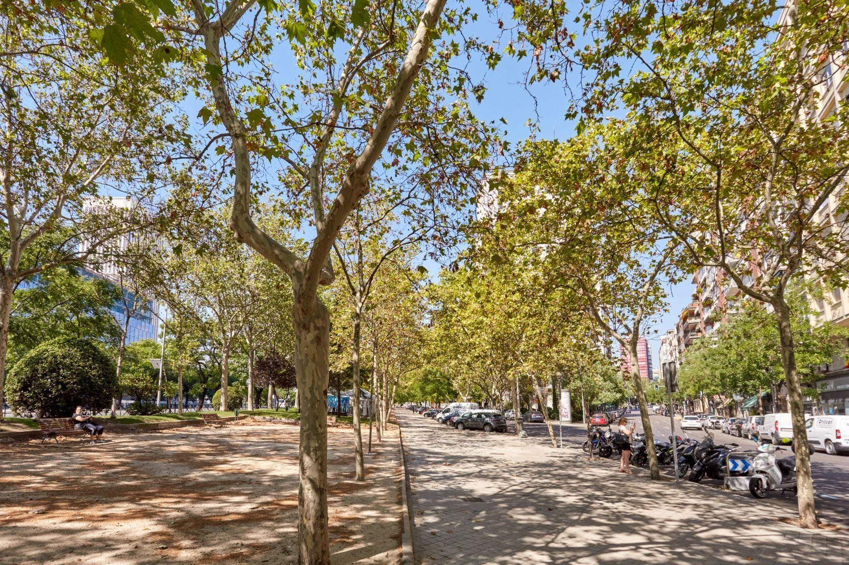 Piso muy luminoso, exterior, con vistas a El Viso, con 2 habitaciones, 1 baño y portero físico.