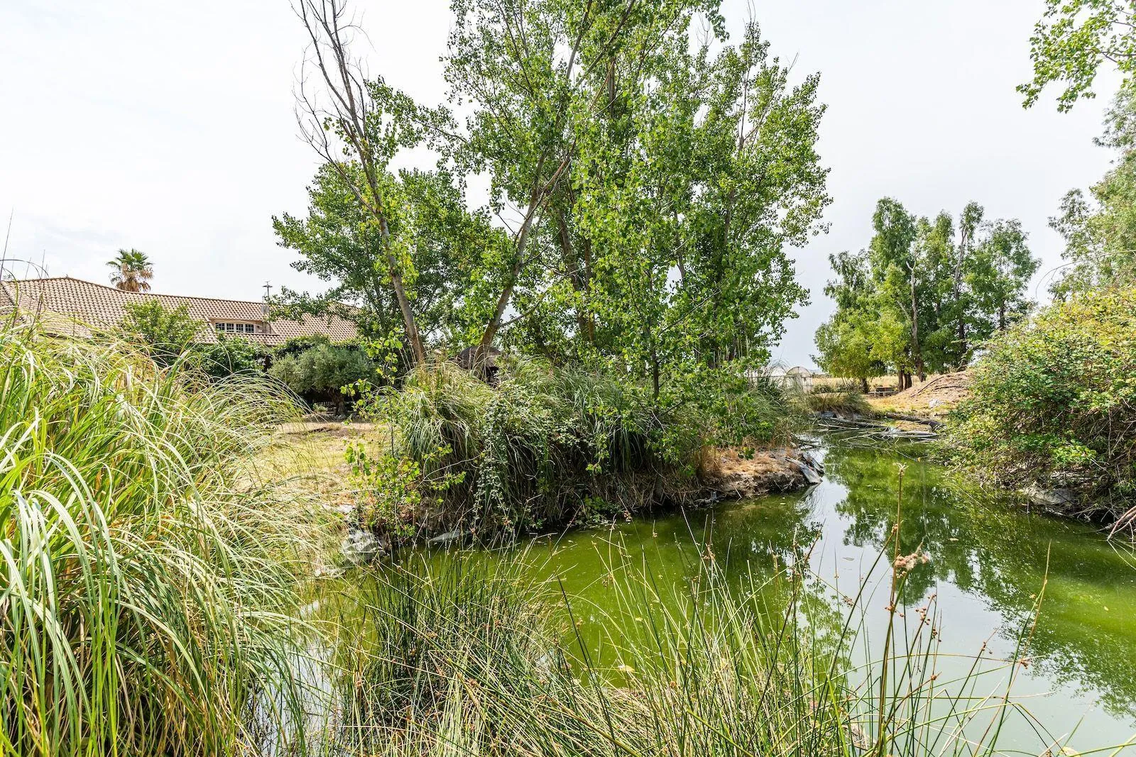 Impresionante Finca Rústica en Fuente el Saz de Jarama