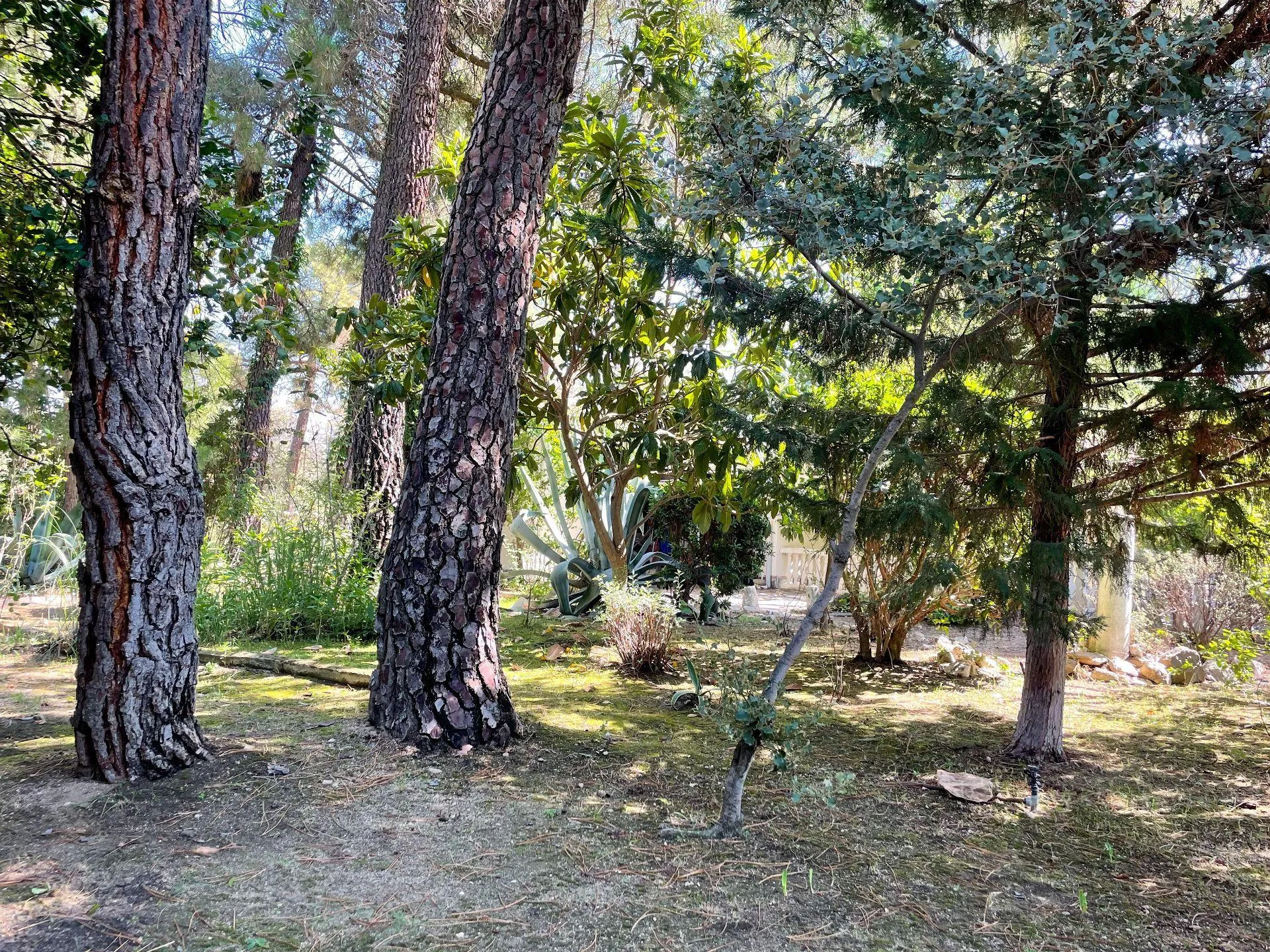 Chalet en venta en Marugán, Pinar Jardín - Siete Fuentes.