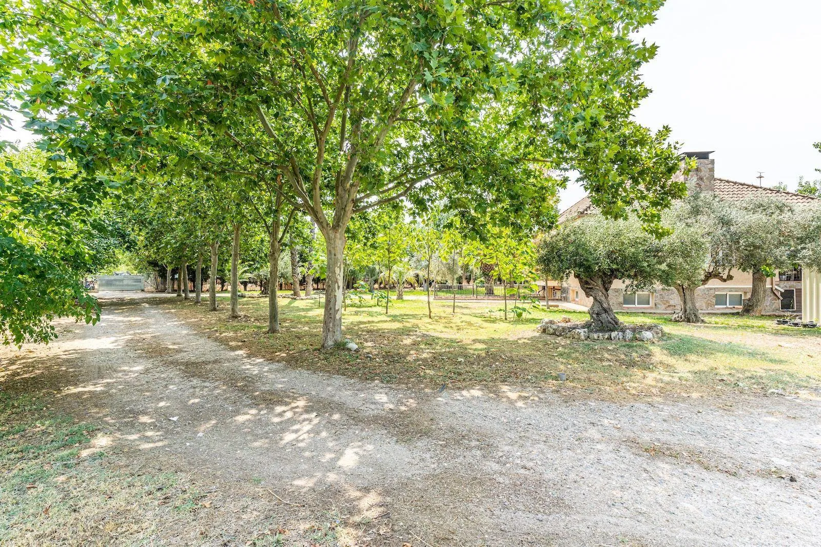 Impresionante Finca Rústica en Fuente el Saz de Jarama