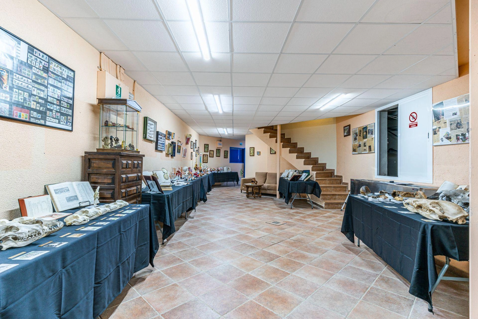 Impresionante Finca Rústica en Fuente el Saz de Jarama