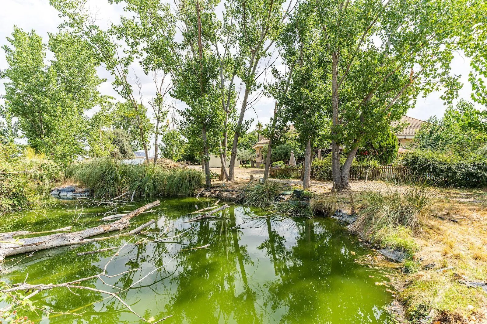 Impresionante Finca Rústica en Fuente el Saz de Jarama