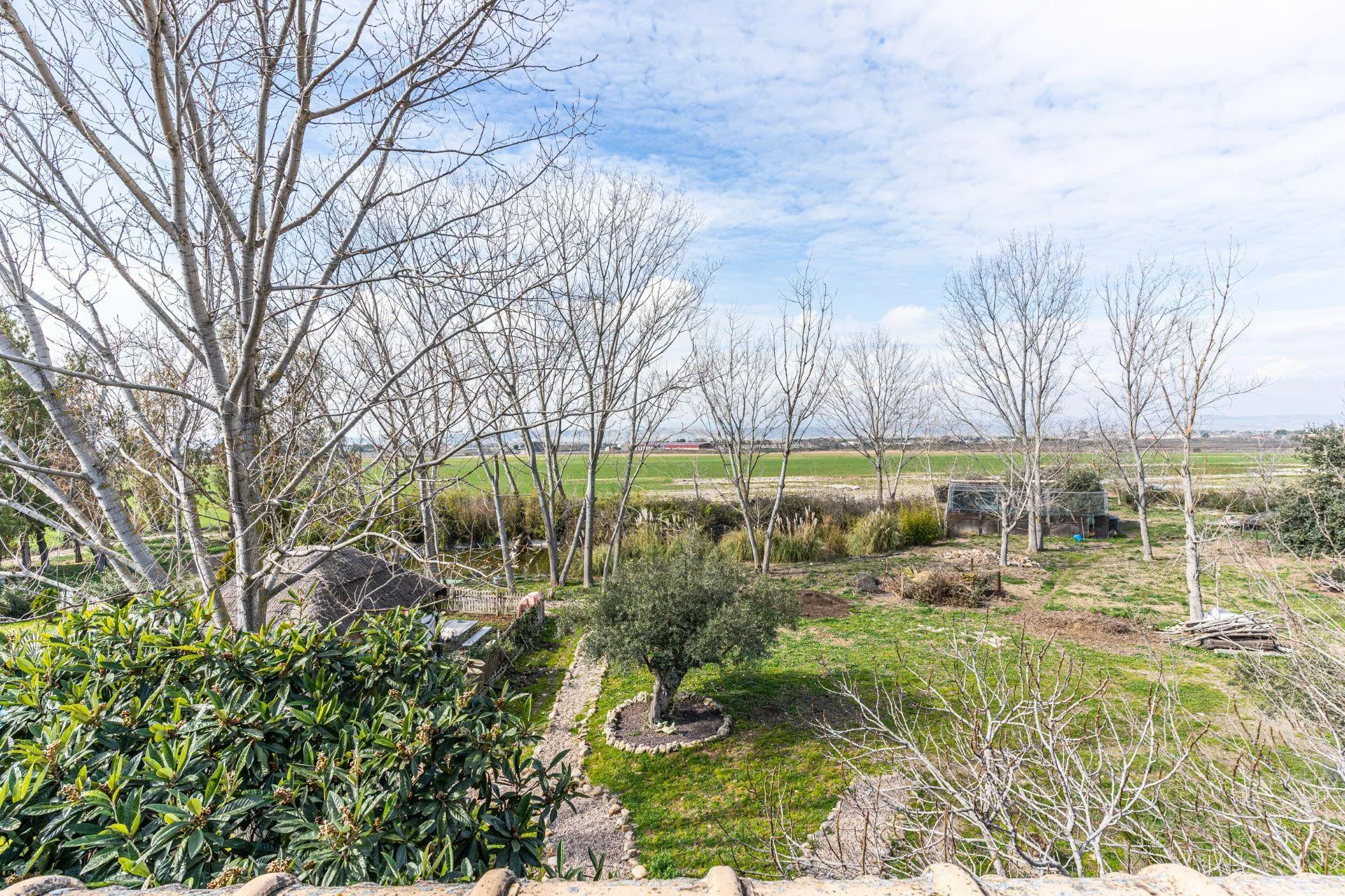 Impresionante Finca Rústica en Fuente el Saz de Jarama