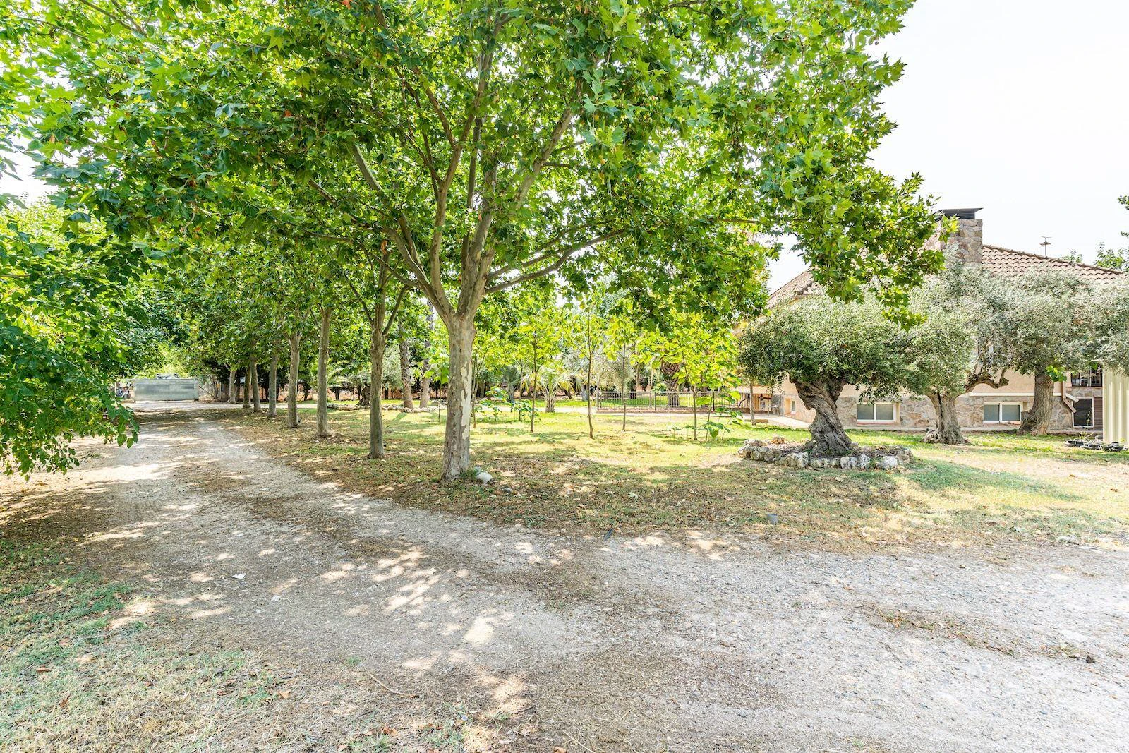 Impressionnante Propriété Rurale à Fuente el Saz de Jarama