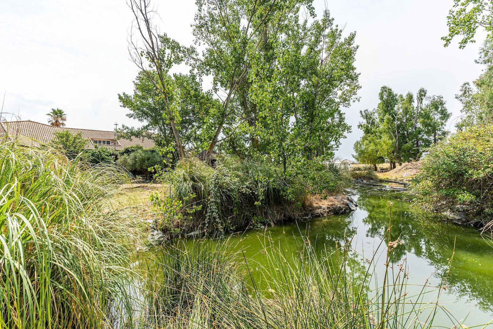 Impressionnante Propriété Rurale à Fuente el Saz de Jarama