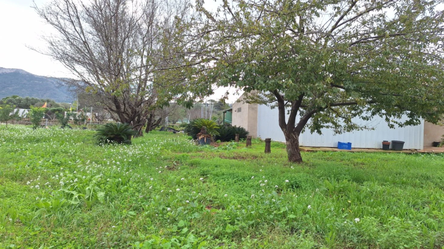 Gran Terreno en la entrada de Denia en Venta