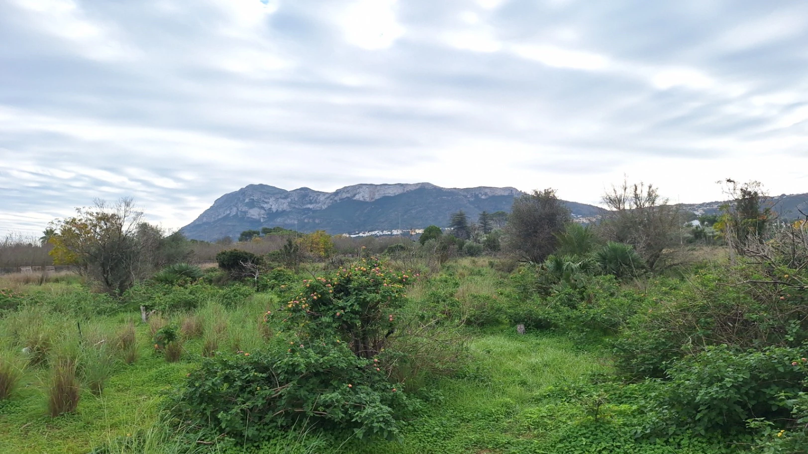 Gran Terreno en la entrada de Denia en Venta