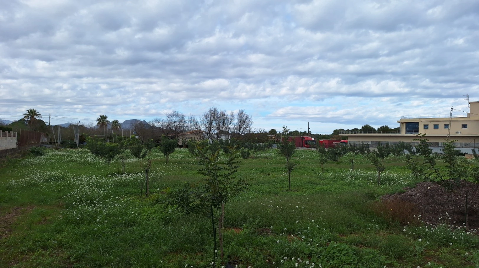 Gran Terreno en la entrada de Denia en Venta
