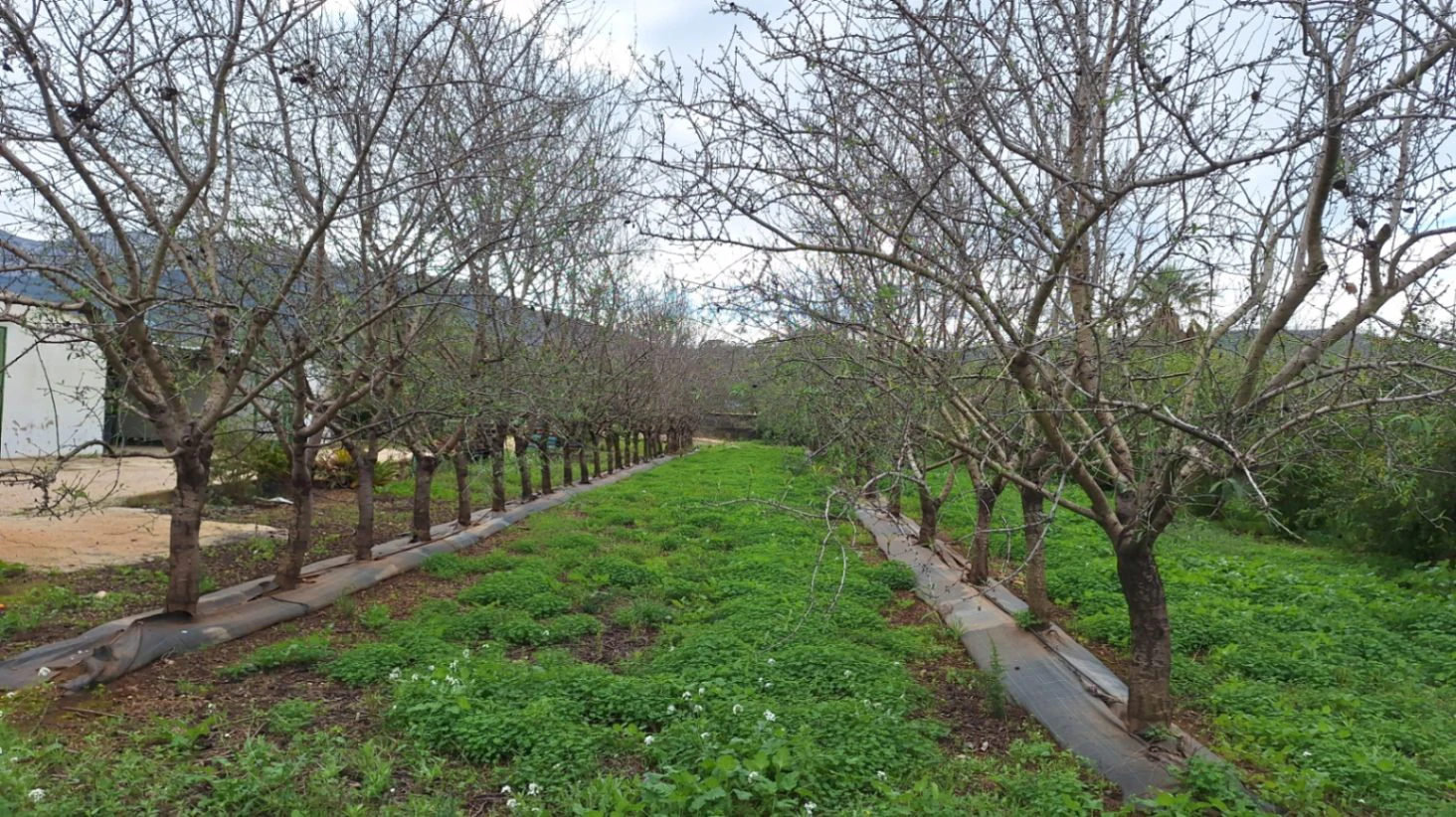 Gran Terreno en la entrada de Denia en Venta