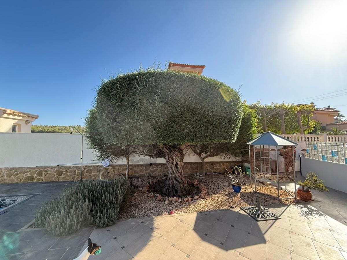 Detached Villa te verkoop in San Miguel De Salinas