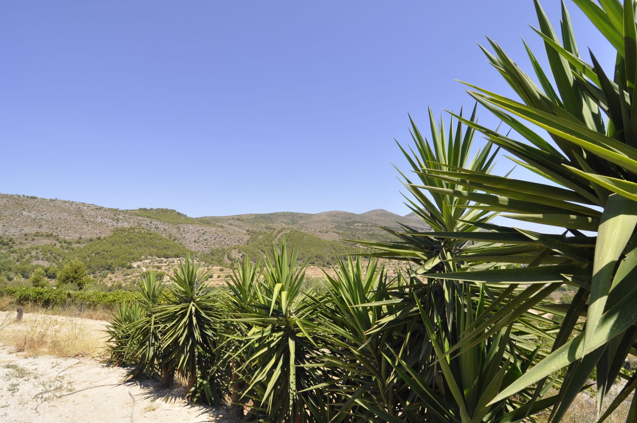 Villa te verkoop in Benissa