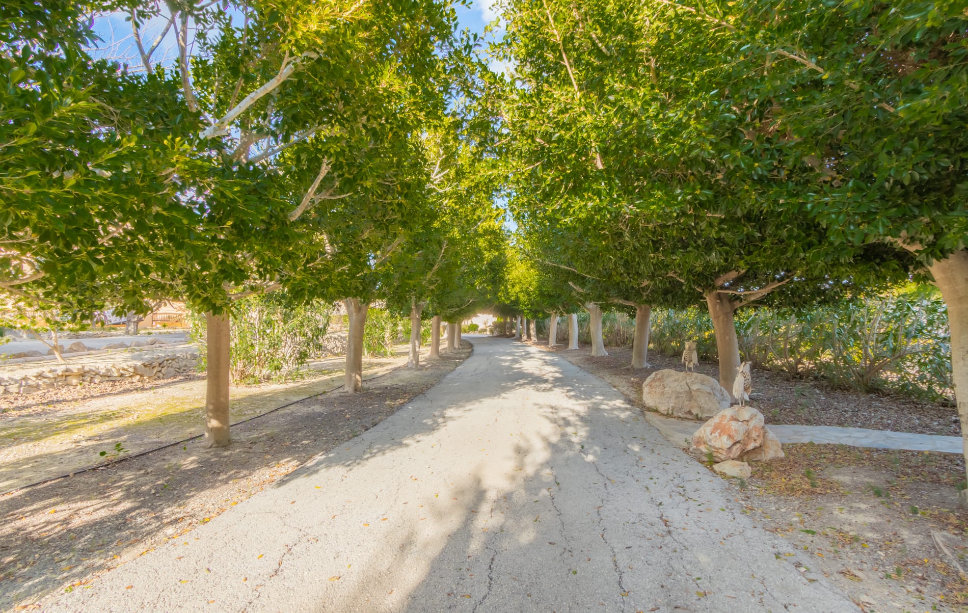 Villa te verkoop in Benissa
