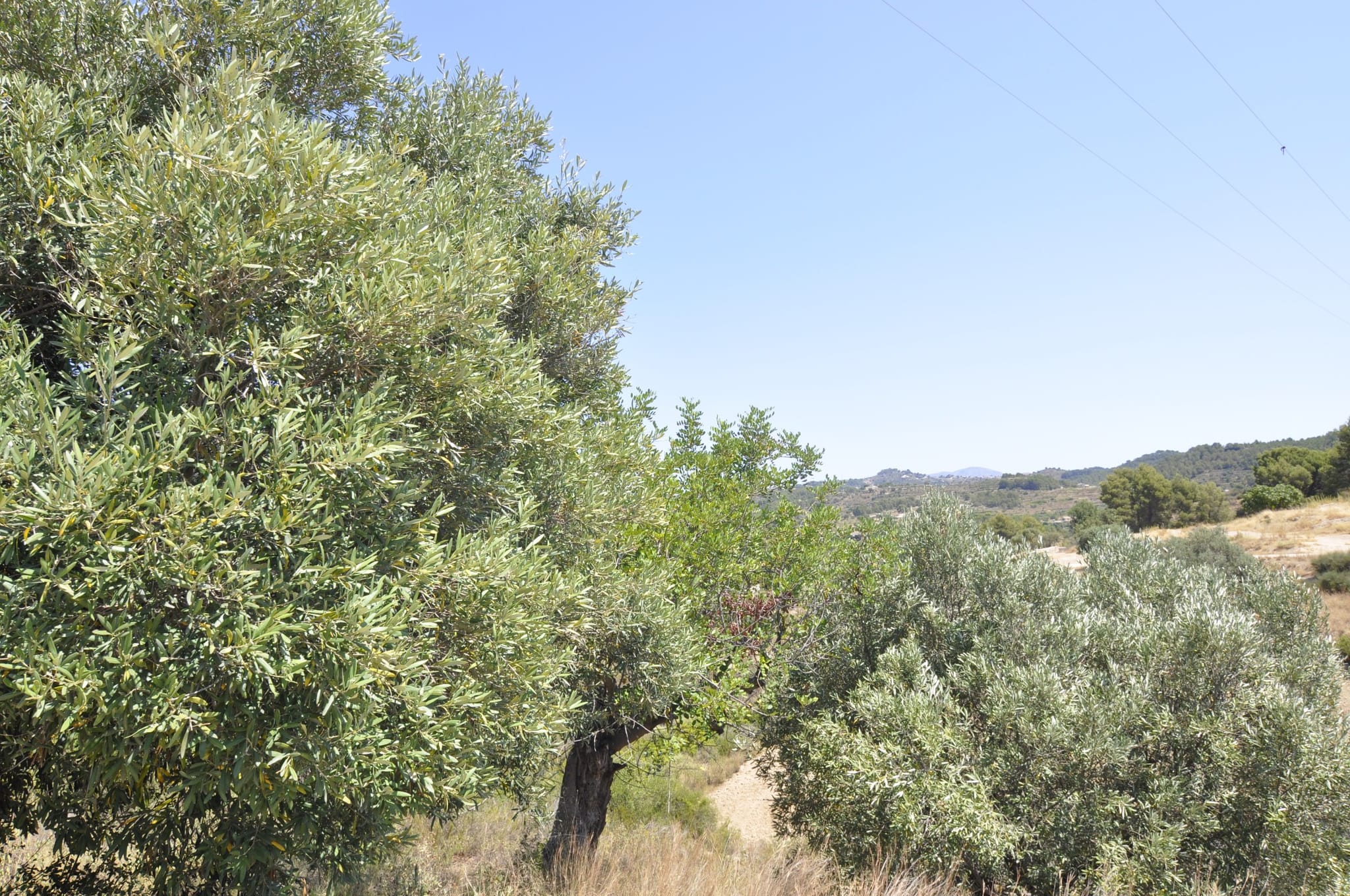 Villa te verkoop in Benissa