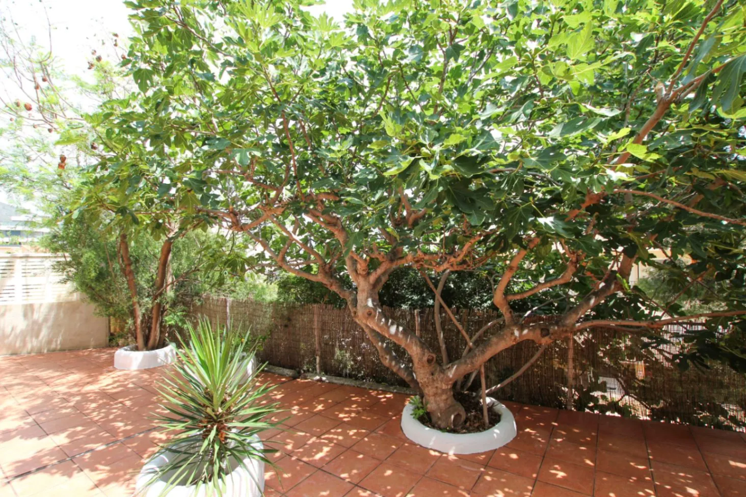 Calpe: Gezellige villa met veel privacy en een apart gastenverblijf