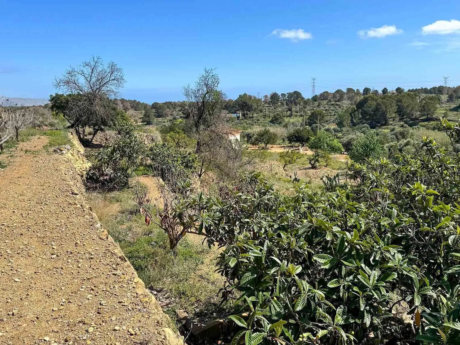 Finca te verkoop in La Nucía
