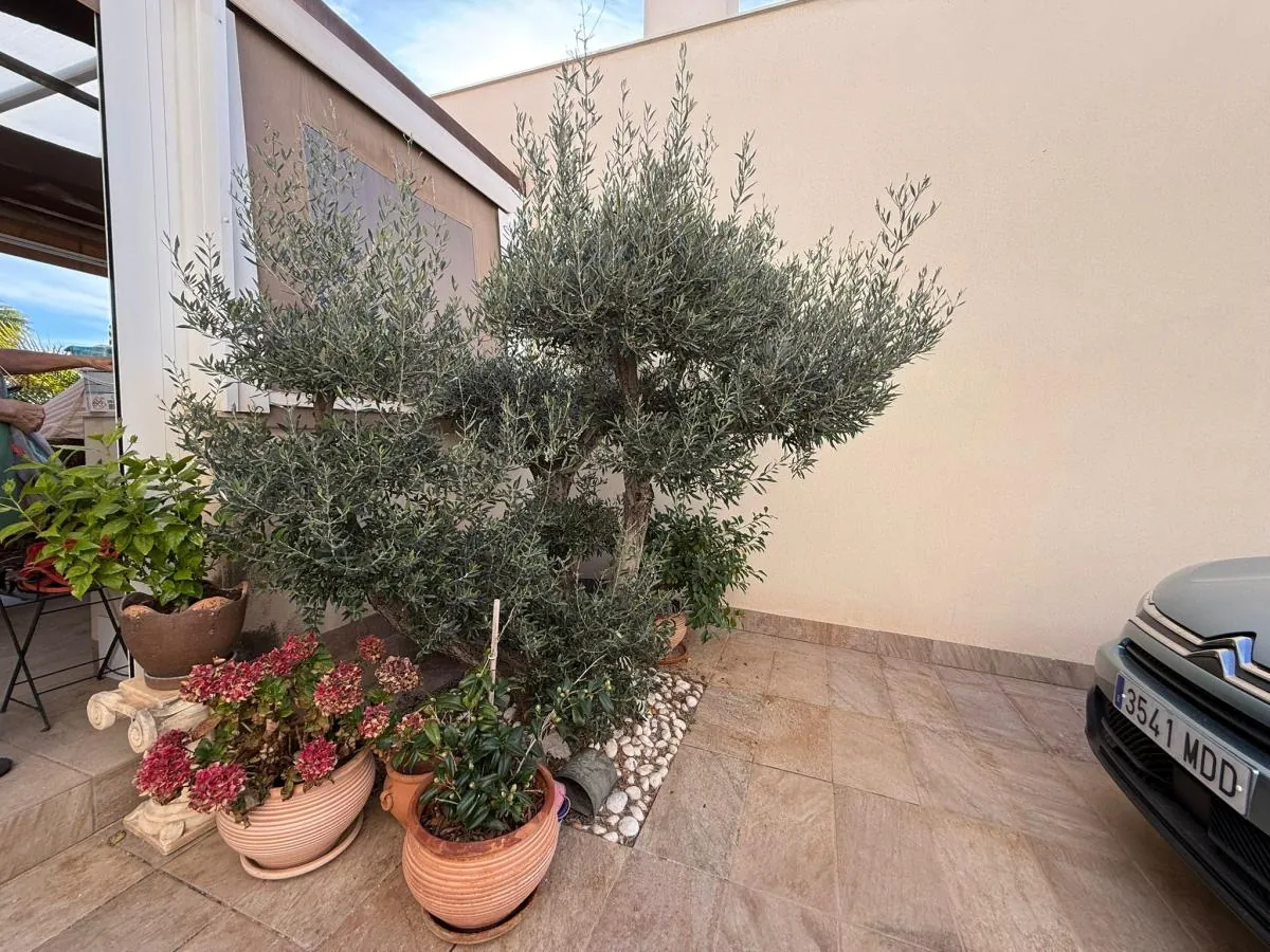 Detached Villa te verkoop in Los Montesinos
