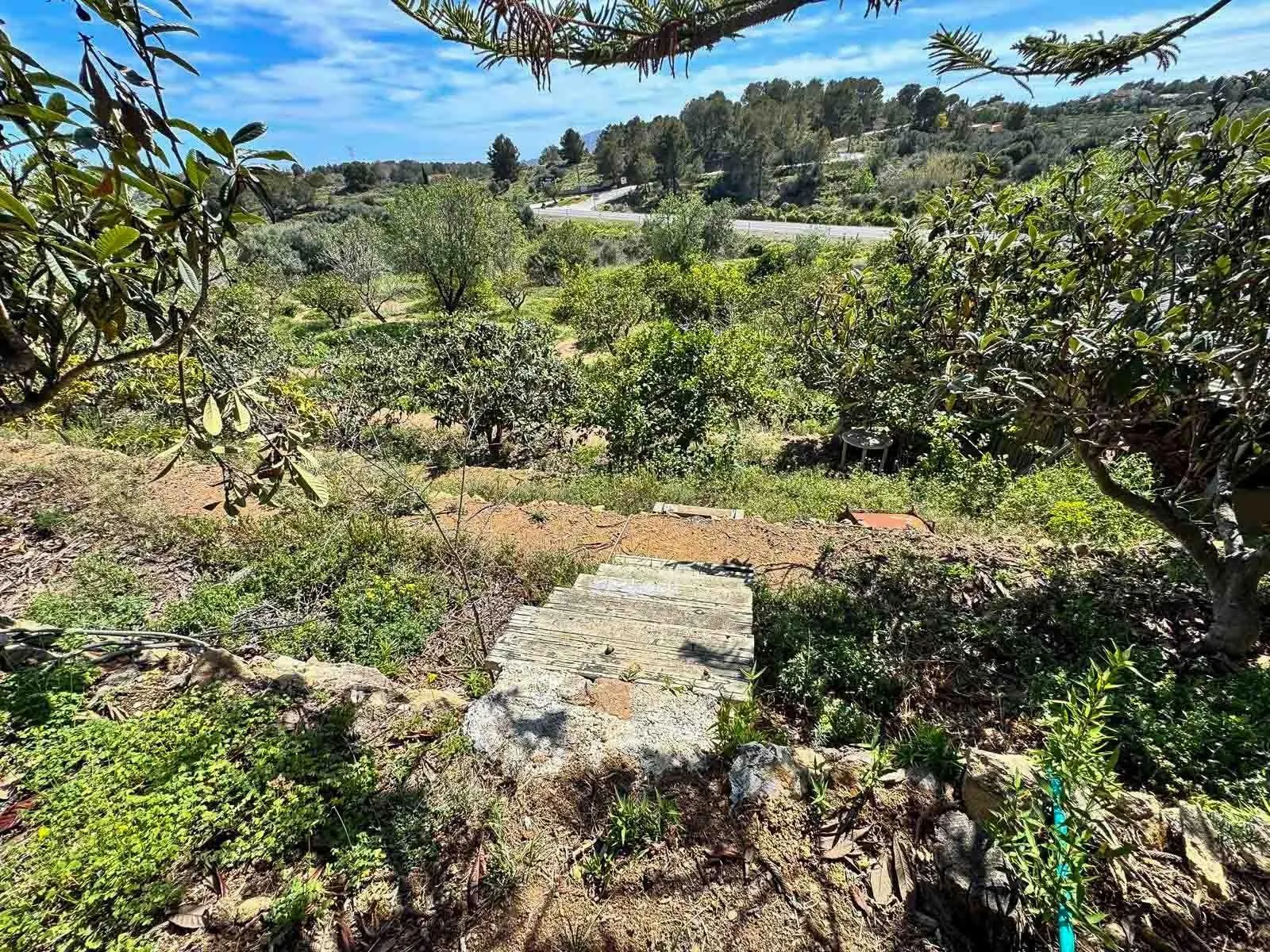 Finca te verkoop in La Nucía